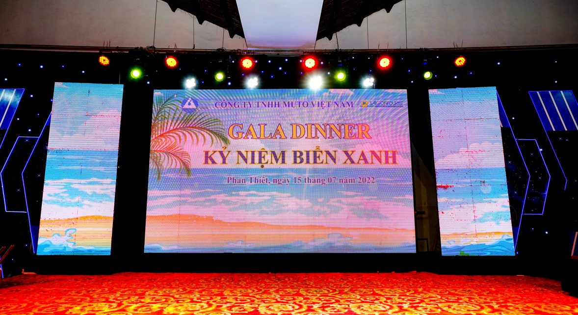 lĩnh vực hoạt động